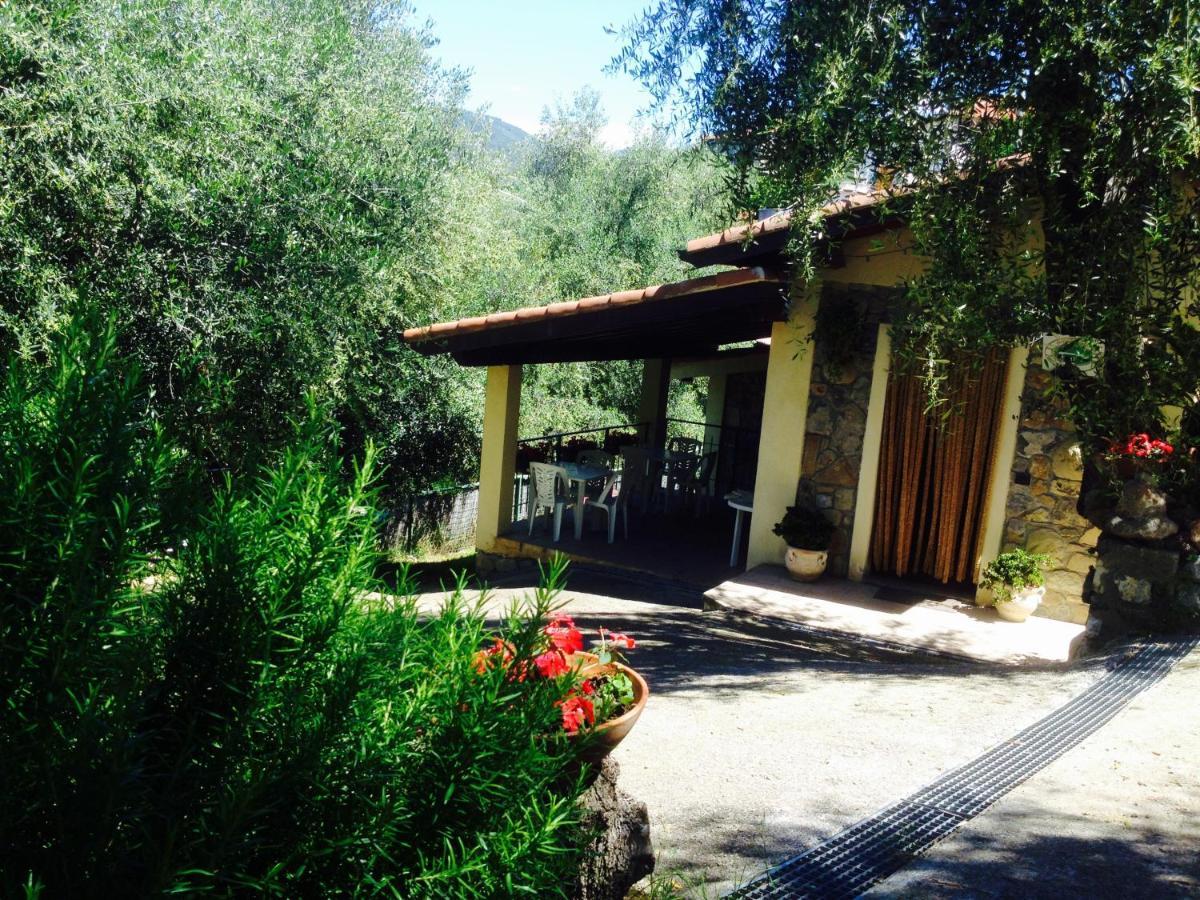 Casa Vacanze Uliveto Bordighera Exterior foto